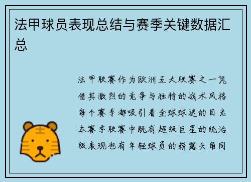 法甲球员表现总结与赛季关键数据汇总